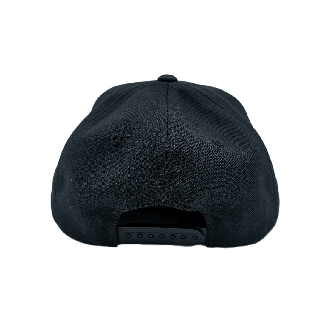 Cursive LB All Black Snapback