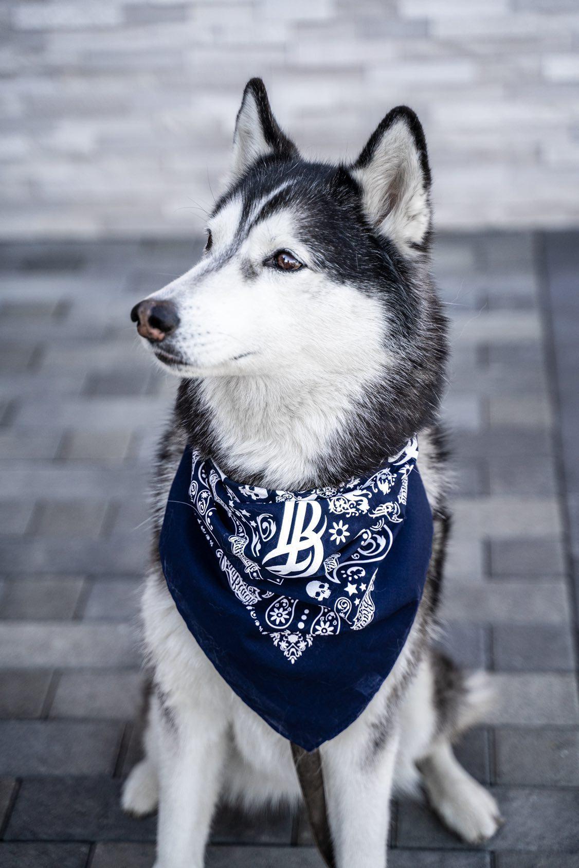 Long Beach Navy Bandana