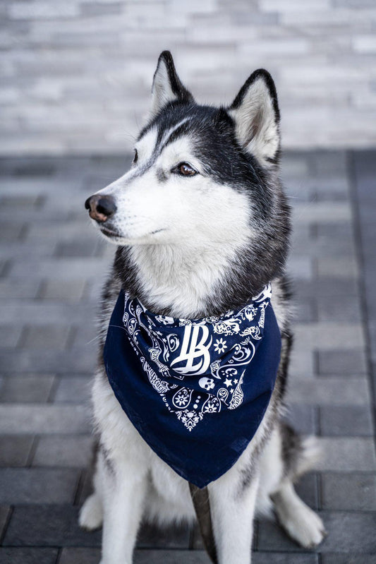 Long Beach Navy Bandana