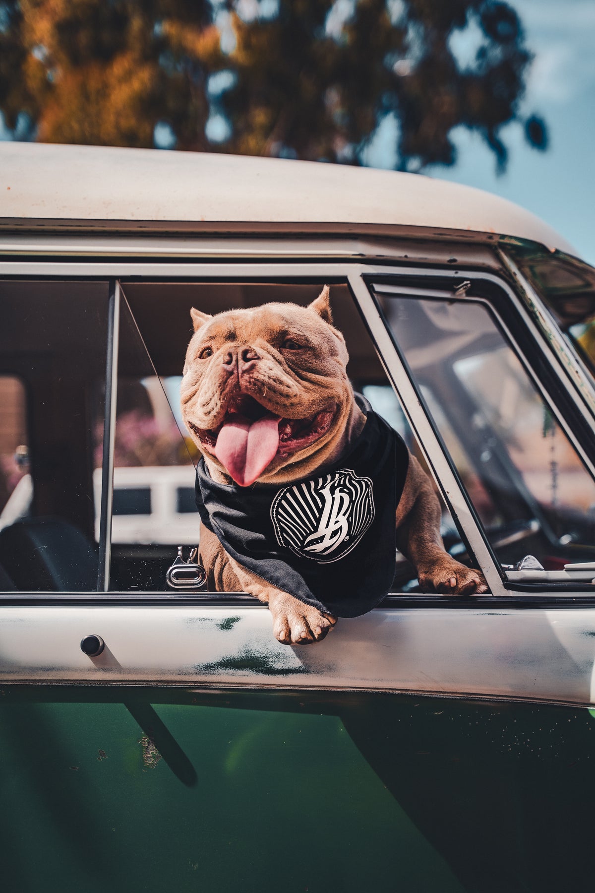 Long Beach Clothing Co.